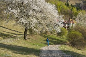 Spring_in _Transylvania_Carpathian_Dreams-60