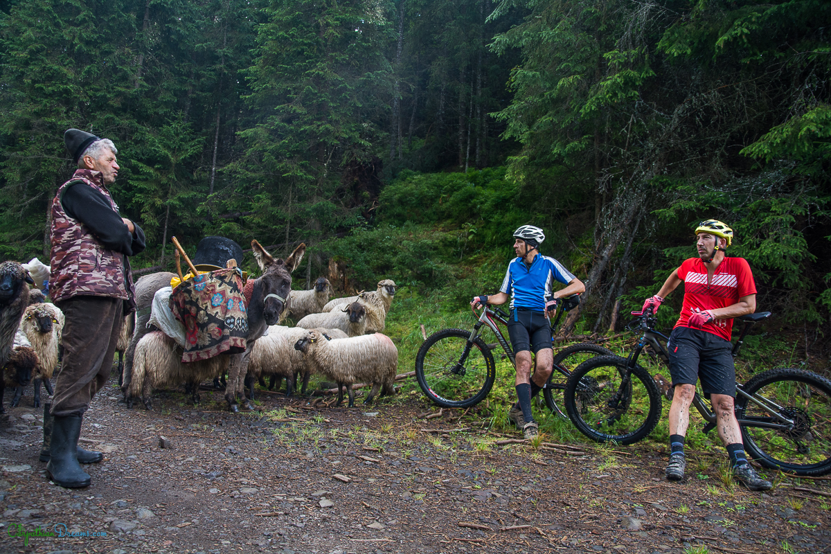 imperial road and the last transhumance