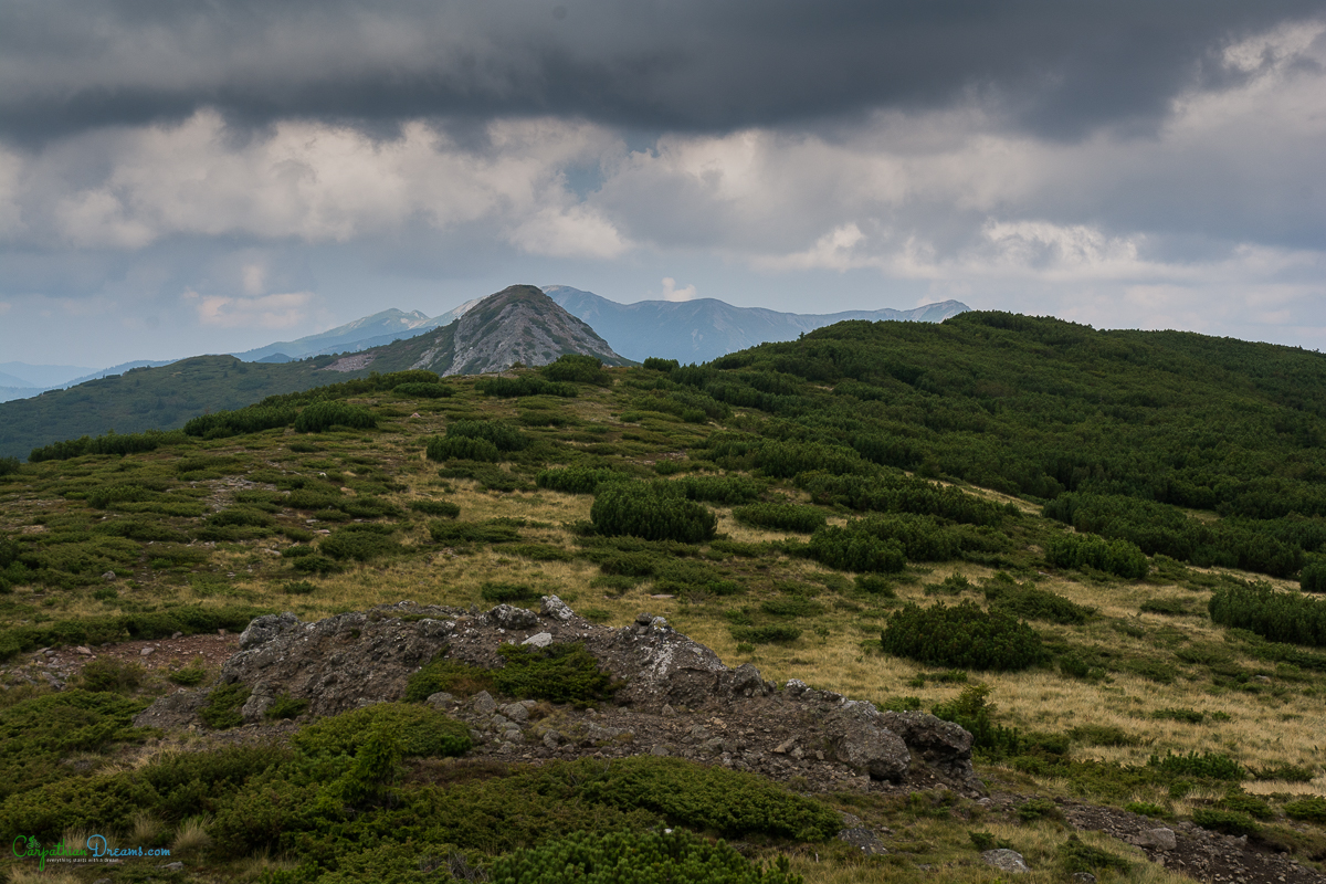 imperial road and the last transhumance