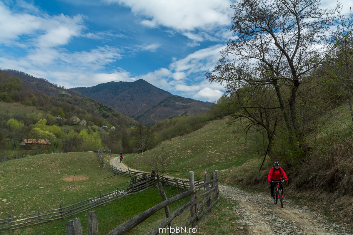 Spring in the Carpathians