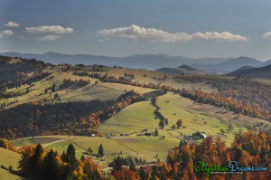 1. Autumn in the Carpathians