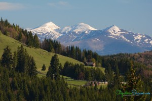 rodnei-mountains