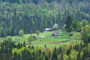 Sprin in  Transylvania Carpathian Dreams-33