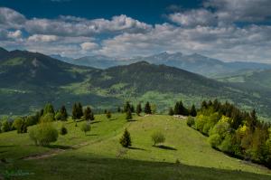 Sprin in  Transylvania Carpathian Dreams-56